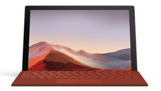 青松乡清洁和维护 Surface